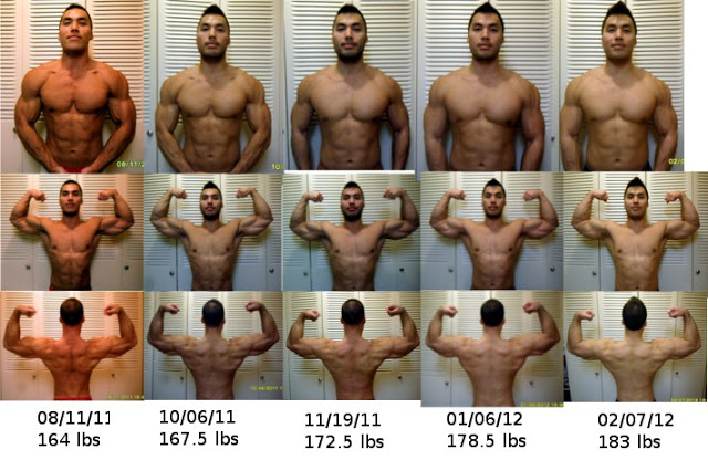 Fat And Gaining Lean Muscle 81